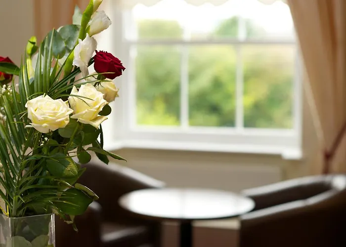 The Ripley Court 都柏林