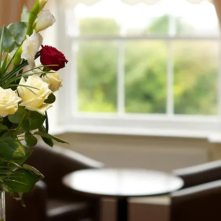 The Ripley Court Dublin